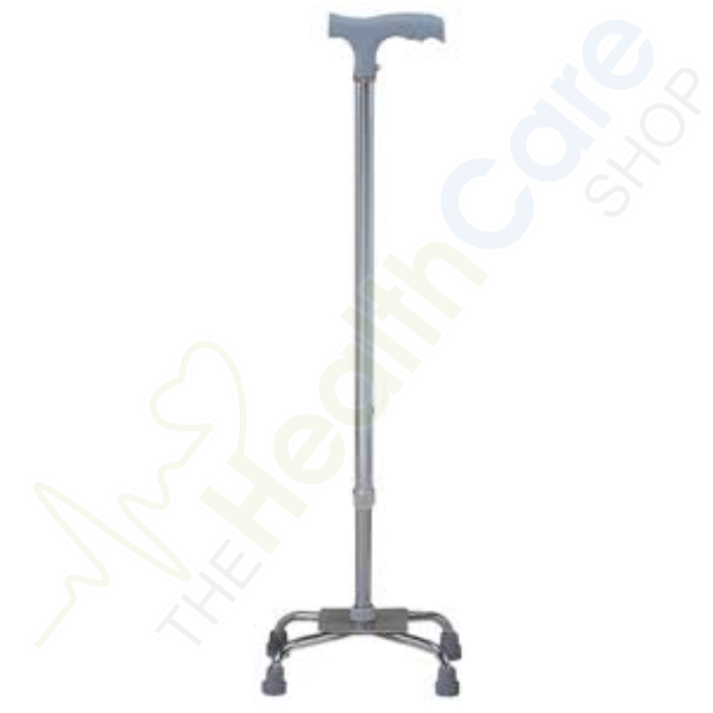 Aluminum Walking Stick – Model FS924