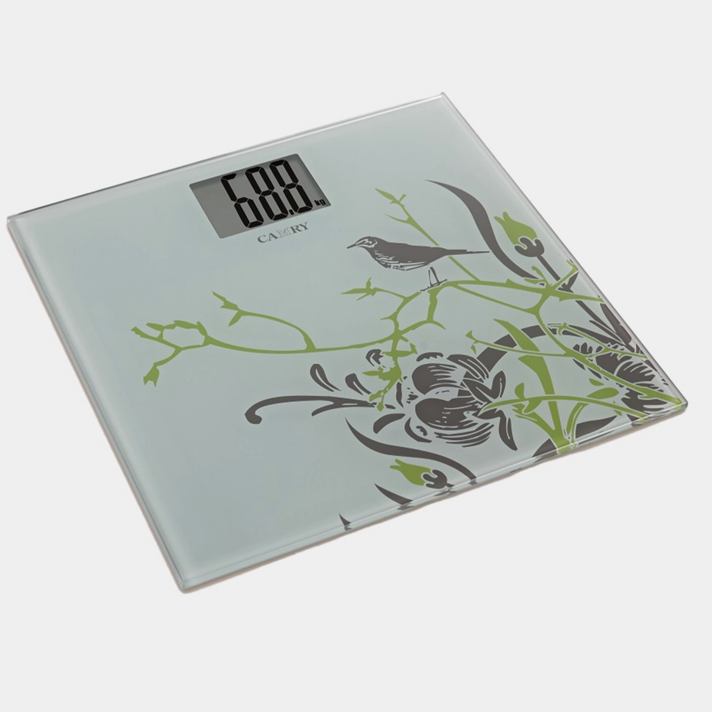 Lifecare EB-9374 Digital Weight Scale – Precision & Style Combined