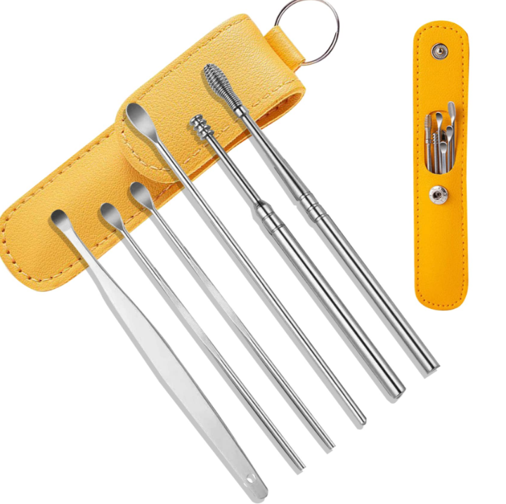 Stainless Steel Ear Cleaning Tool Kit