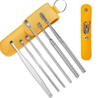 Stainless Steel Ear Cleaning Tool Kit