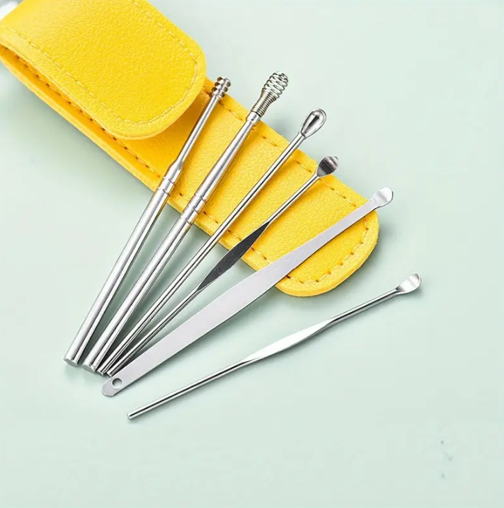 Stainless Steel Ear Cleaning Tool Kit