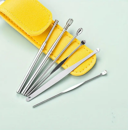 Stainless Steel Ear Cleaning Tool Kit